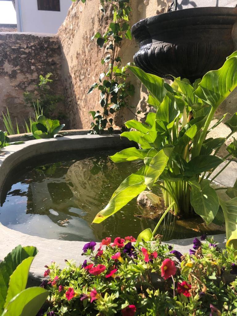 Ca Margalef - Casa Rural Con Encanto Ginestar Exteriör bild